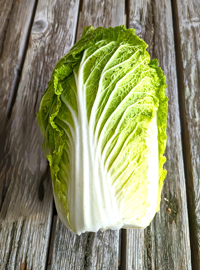 デイケアの治療目標